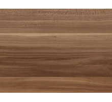 Слива Венгерская 8880BS, 18 мм, 2,8*2,07 м KRONO (выведен из колекции)