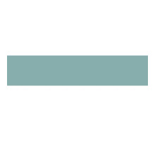 Mint SM-12 22*0.8 mm VENNI 894