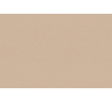 EVOGLOSS 18*1220*2800  P008  Soft Touch Mink