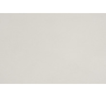 EVOGLOSS 18*1220*2800  P116 Light Grey