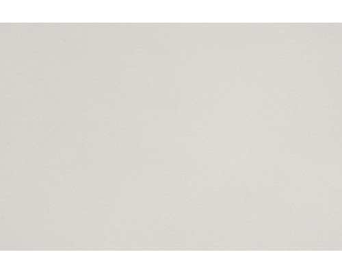 EVOGLOSS 18*1220*2800  P116 Light Grey